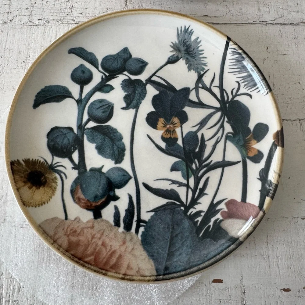 Pier 1 Imports Moody‎ Blooms NWT Set of 4 Salad Plates Floral Ceramic Plate